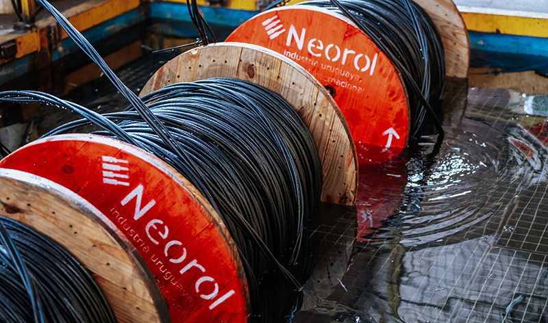 neorol-nosotros-05